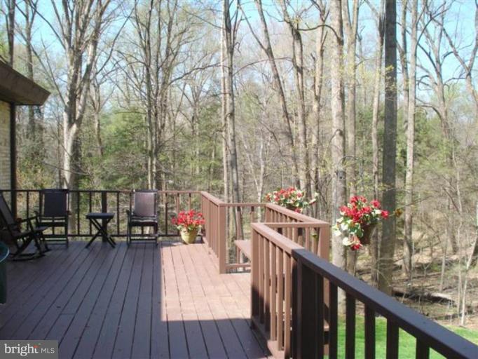 817 Turkey Run Road McLean, VA 22101 - Photo 5 of 18 Deck