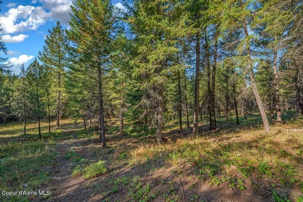 $269,900 | Nka East Son Shine Way, Athol, ID 83801