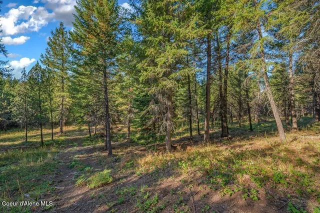 $285,000 | Nka East Son Shine Way, Athol, ID 83801