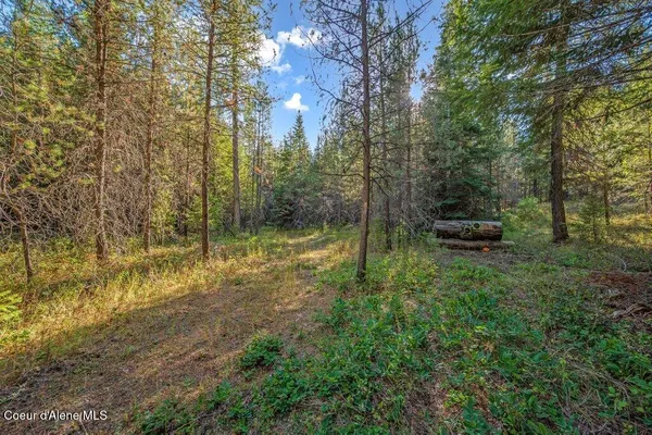 $269,900 | Nka East Son Shine Way, Athol, ID 83801