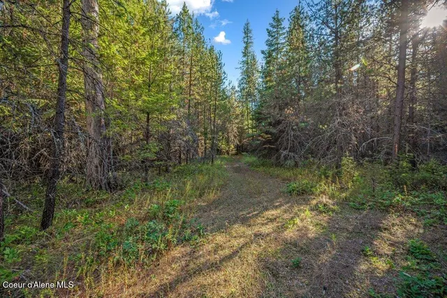 $285,000 | Nka East Son Shine Way, Athol, ID 83801