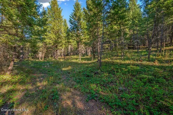 $269,900 | Nka East Son Shine Way, Athol, ID 83801