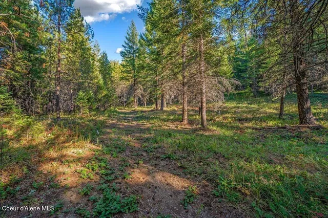 $285,000 | Nka East Son Shine Way, Athol, ID 83801