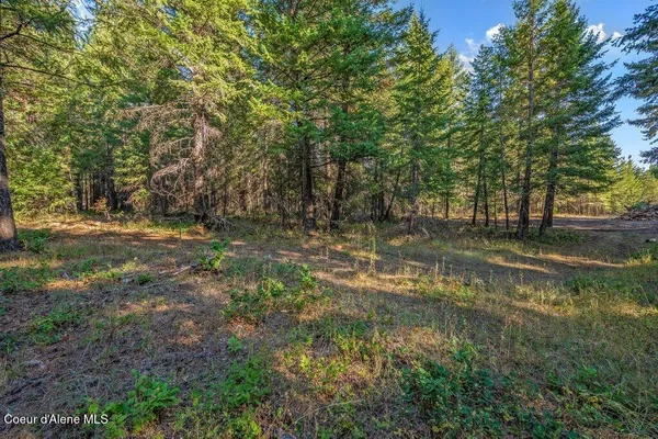 $269,900 | Nka East Son Shine Way, Athol, ID 83801