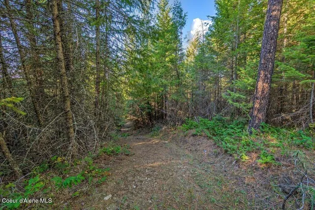 $285,000 | Nka East Son Shine Way, Athol, ID 83801