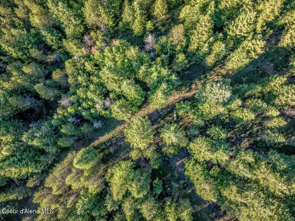 $269,900 | Nka East Son Shine Way, Athol, ID 83801