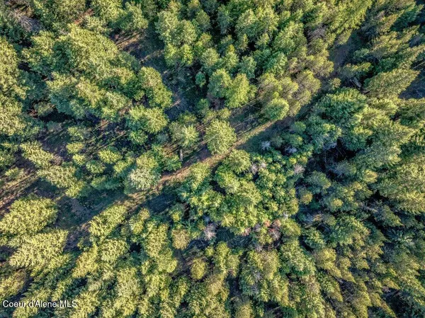 $269,900 | Nka East Son Shine Way, Athol, ID 83801