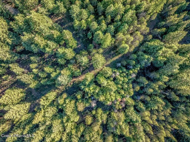 $285,000 | Nka East Son Shine Way, Athol, ID 83801