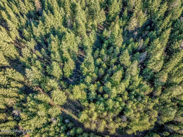 $269,900 | Nka East Son Shine Way, Athol, ID 83801