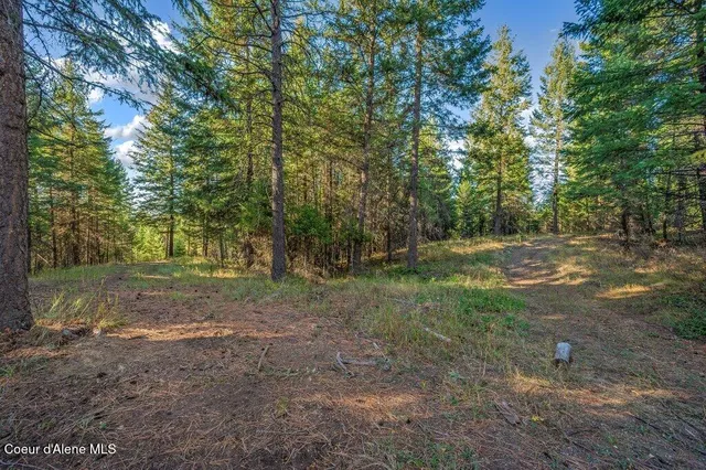 $285,000 | Nka East Son Shine Way, Athol, ID 83801