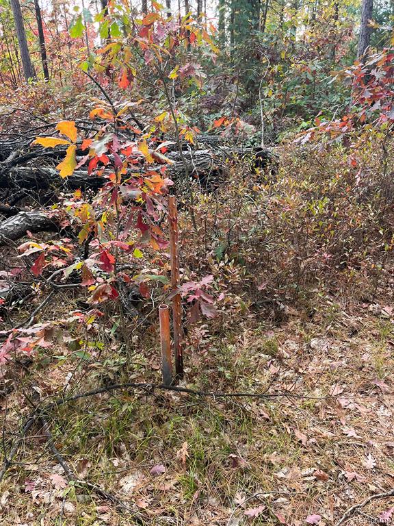 5489 Curtis Road Hale, MI 48739 - Photo 19 of 27