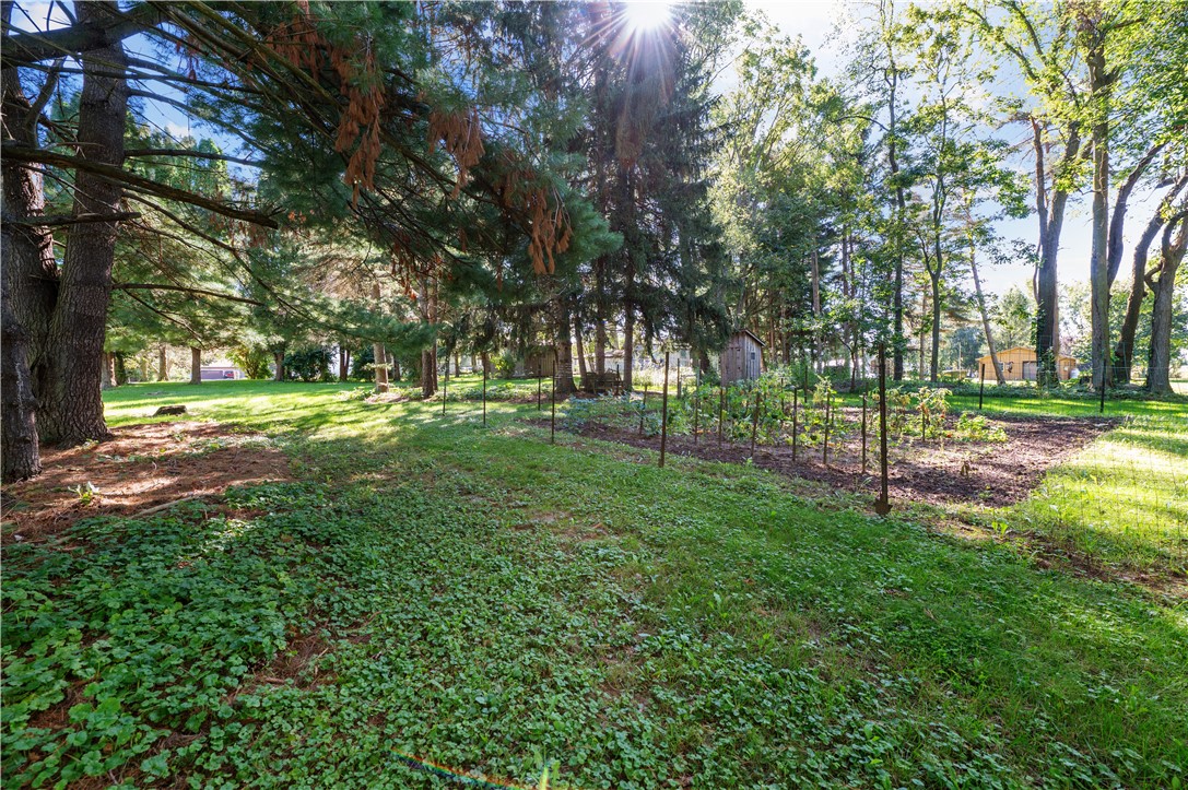 3892 Gaines Basin Road Albion, NY 14411 - Photo 29 of 38 Existing Gardens