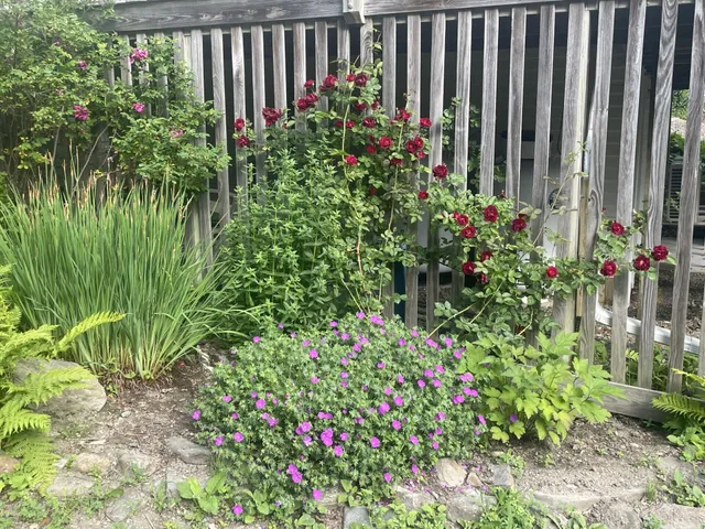 $750,000 | 38 Union Street, Belfast, ME 04915