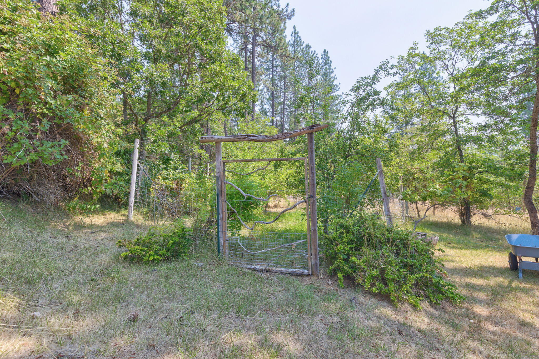 430 Kincaid Road Williams, OR 97544 - Photo 33 of 50 50-web-or-mls-0R1A4363_4_5_6_7