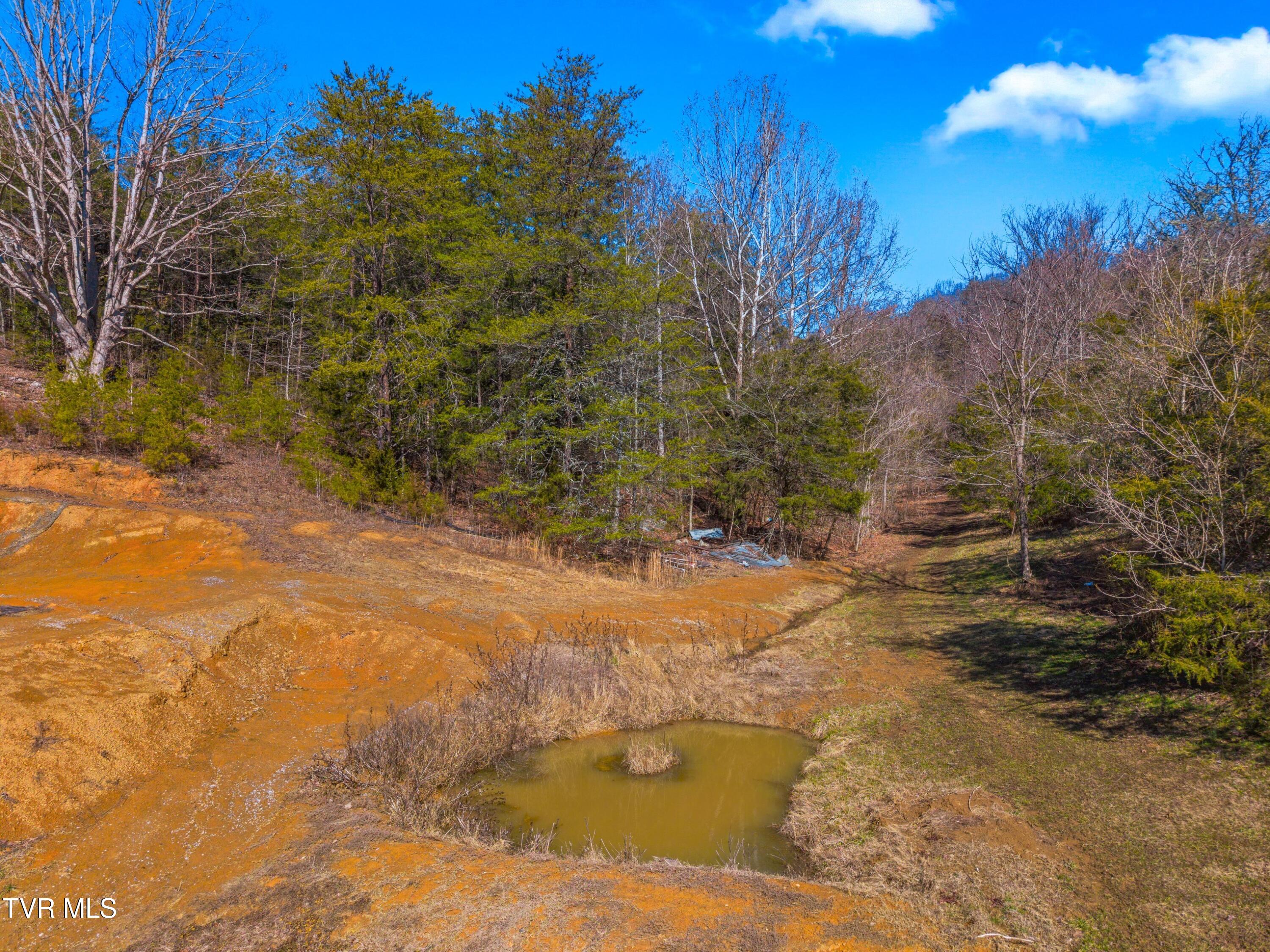 634 New Salem Road Rogersville, TN 37857 - Photo 20 of 48 032-634NewSalemRoad-Rogersville-TN-37857