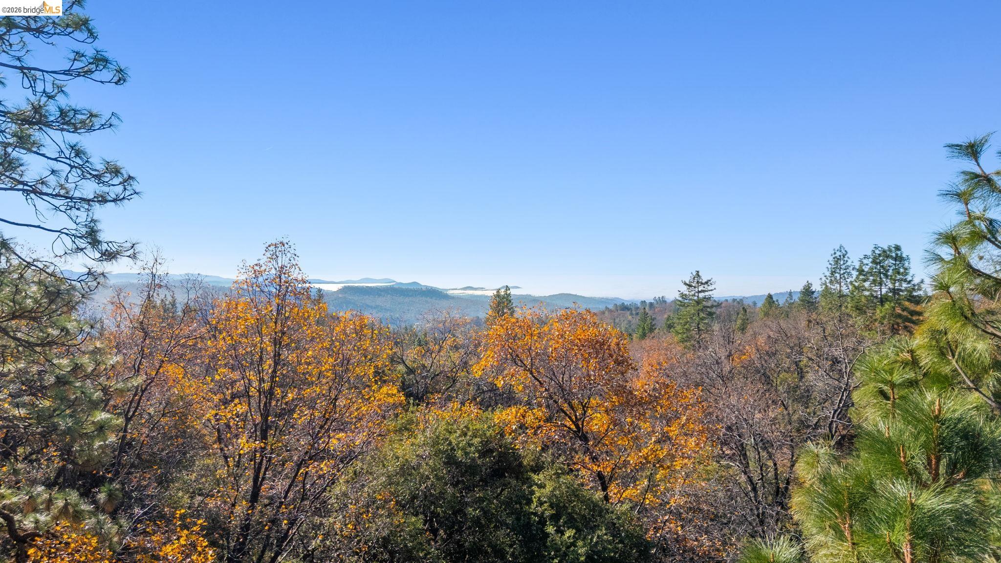 16144 Big Hill Road Sonora, CA 95370 - Photo 45 of 51 Expansive tree-covered landscape under a clear sky