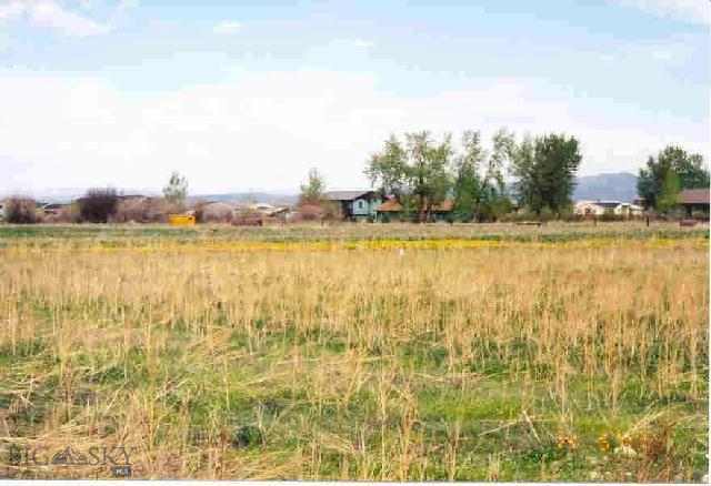 L59 Buckskin Road Belgrade, MT 59714 - Photo 1 of 1 Gallery Image 1