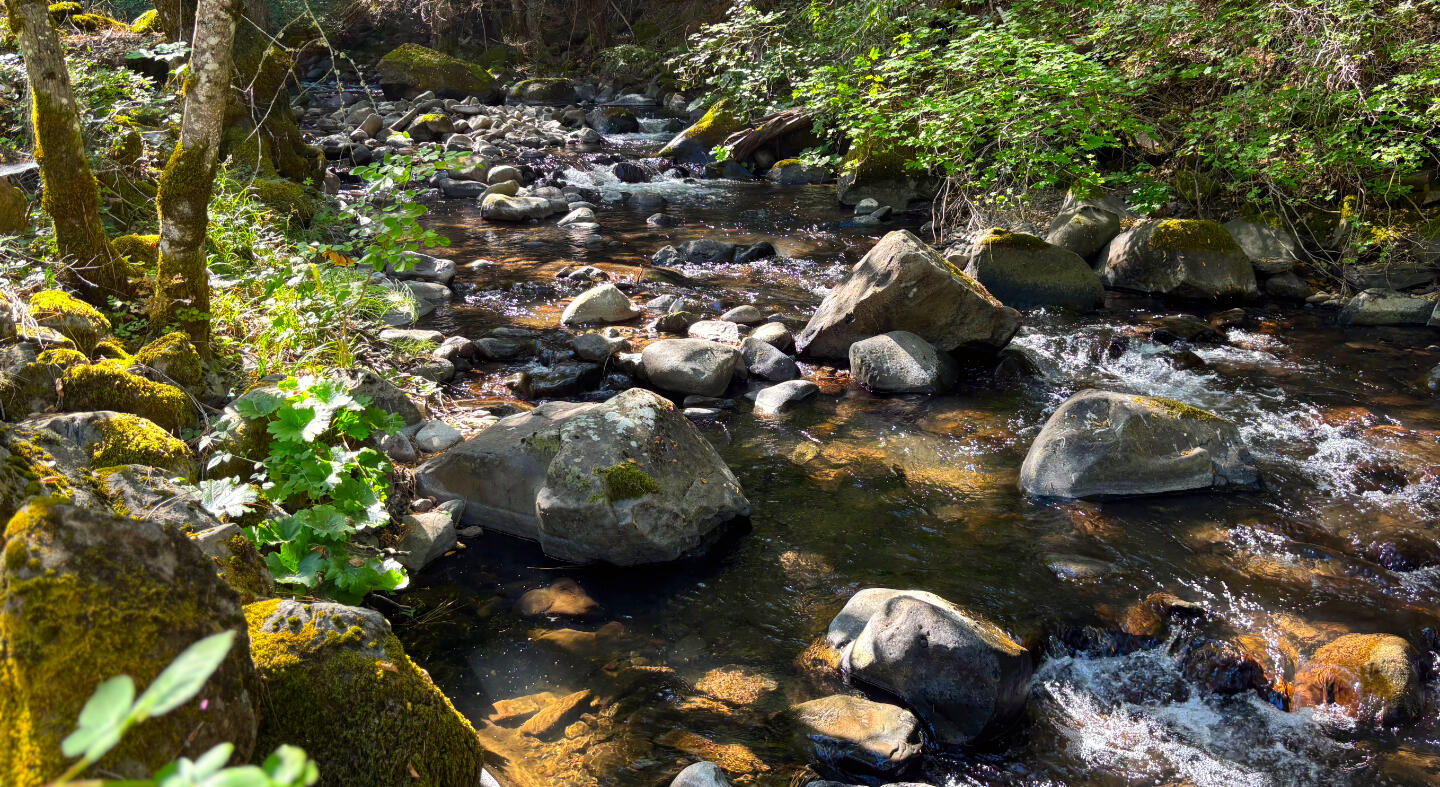 30183 Oak Run To Fern Road Whitmore, CA 96096 - Photo 26 of 37 Creek