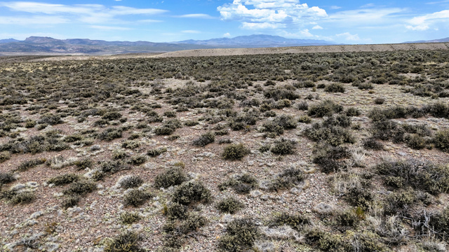 123 East Tbd 5000 Road North Panguitch, UT 84759 - Photo 38 of 54 Expansive desert landscape featuring scattered low-lying vegetation