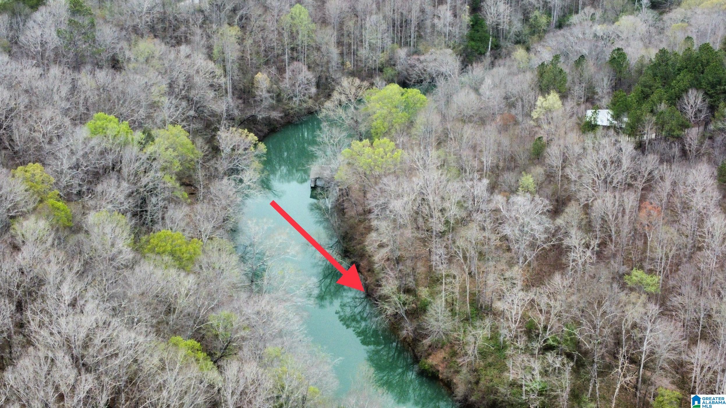 Lot 16 Turkey Bend Drive, Unit 16 Addison, AL 35540 - Photo 15 of 19