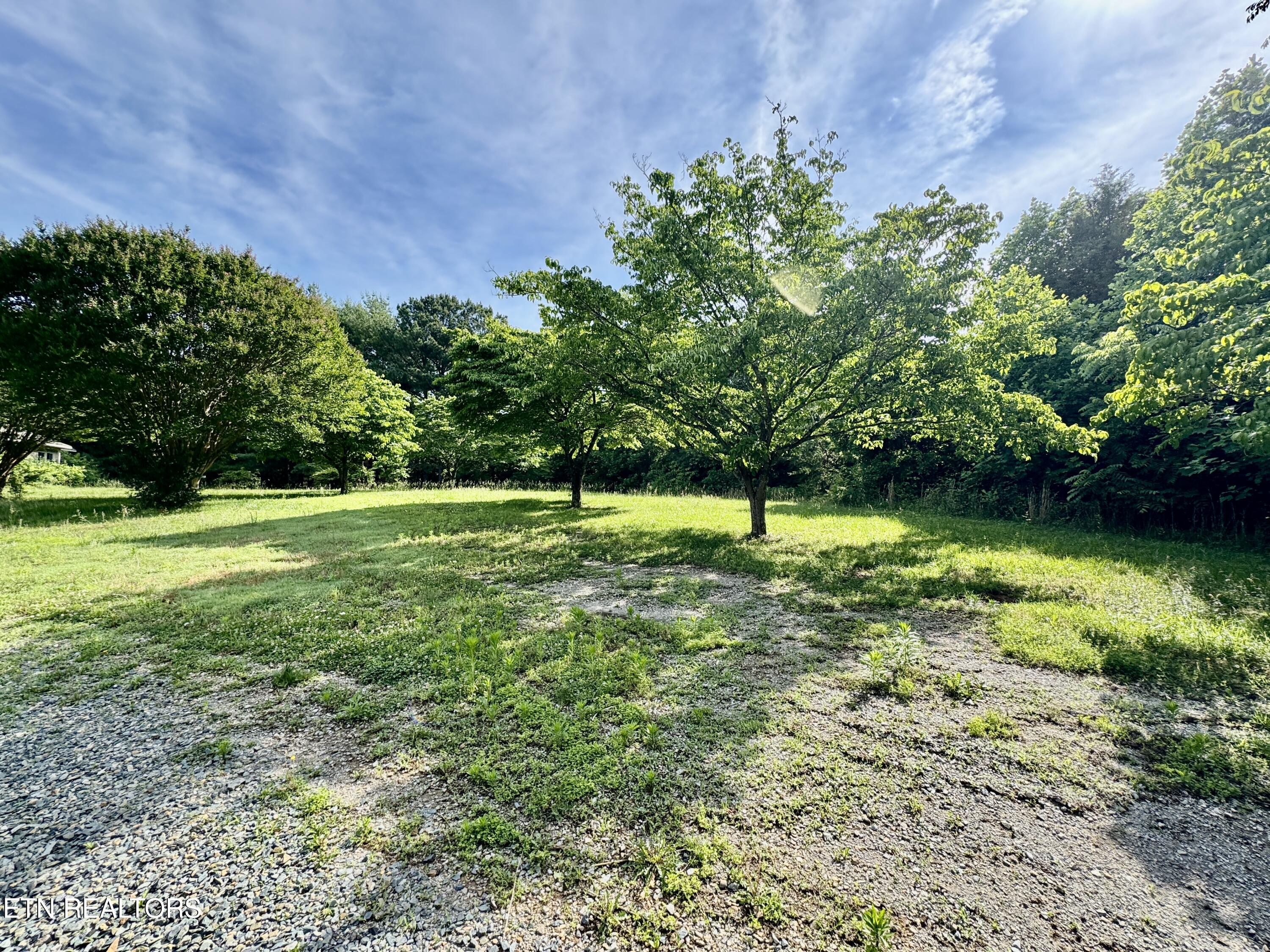 529 Peanut Road Parrottsville, TN 37843 - Photo 14 of 54 1-14