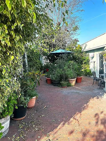 a view of a backyard with potted plants and large trees
