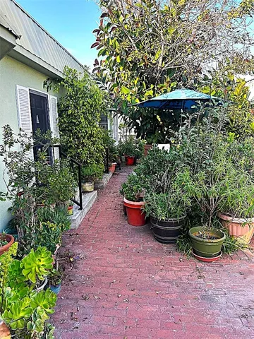a view of a backyard with potted plants