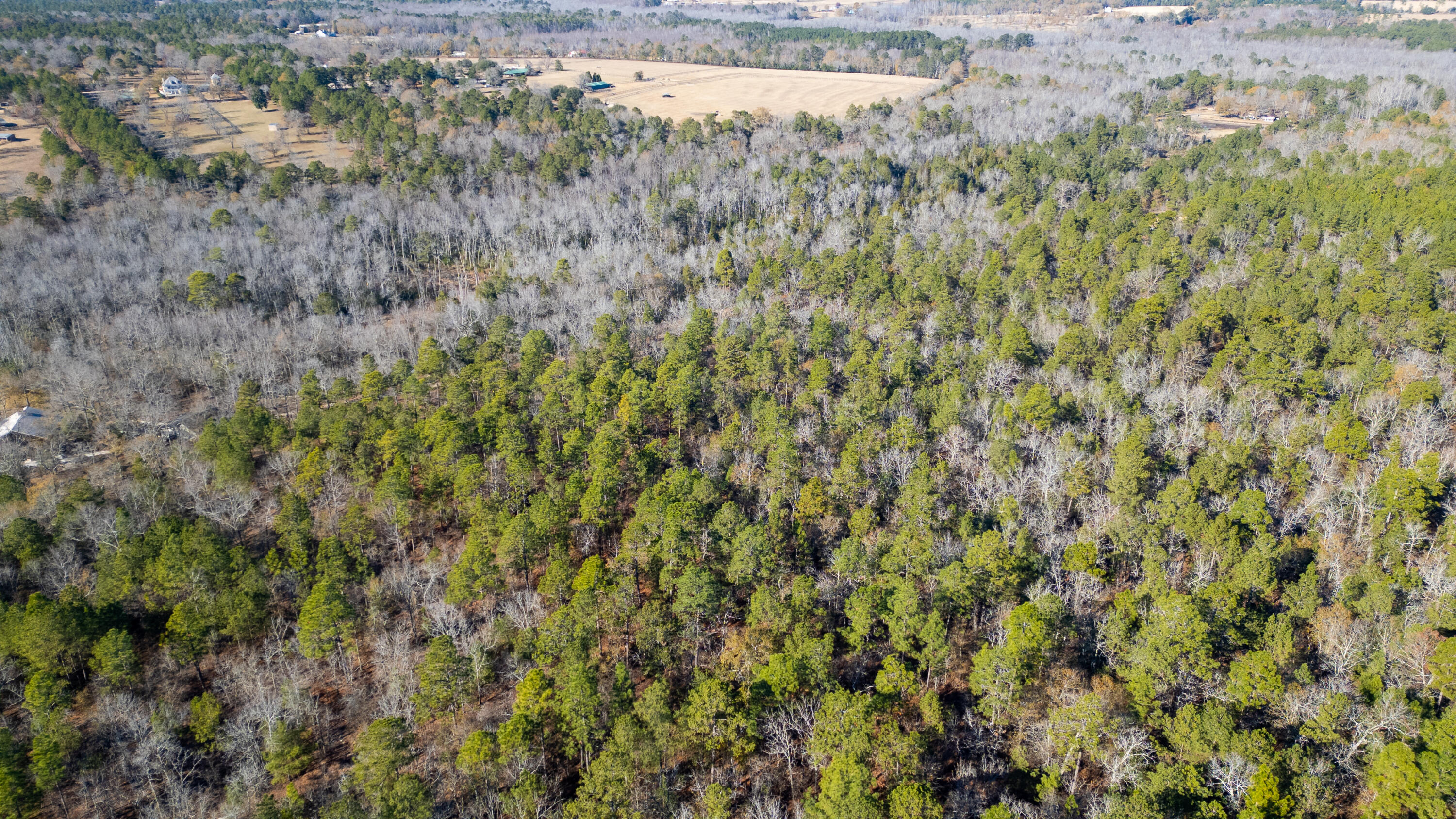 1424 Hatchaway Bridge Road Aiken, SC 29801 - Photo 5 of 9 Gallery Image 5