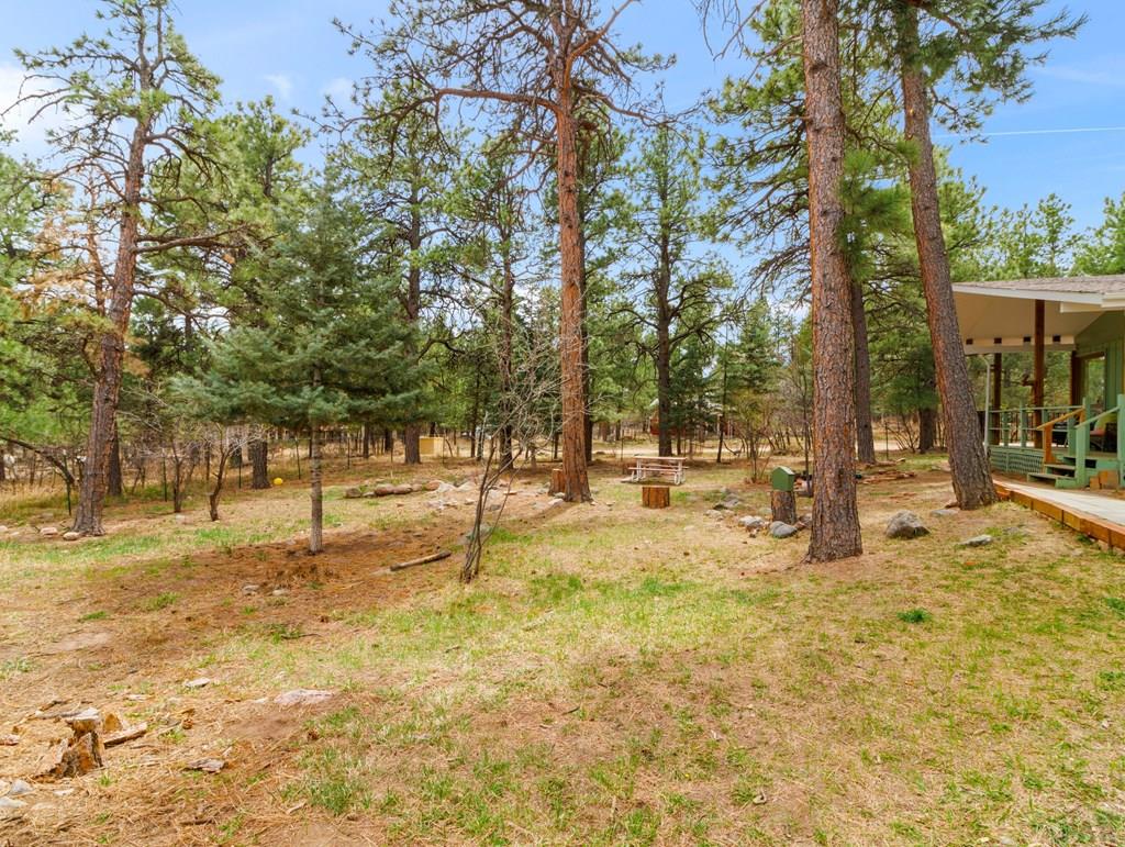 8145 Birch Drive Rye, CO 81069 - Photo 4 of 44