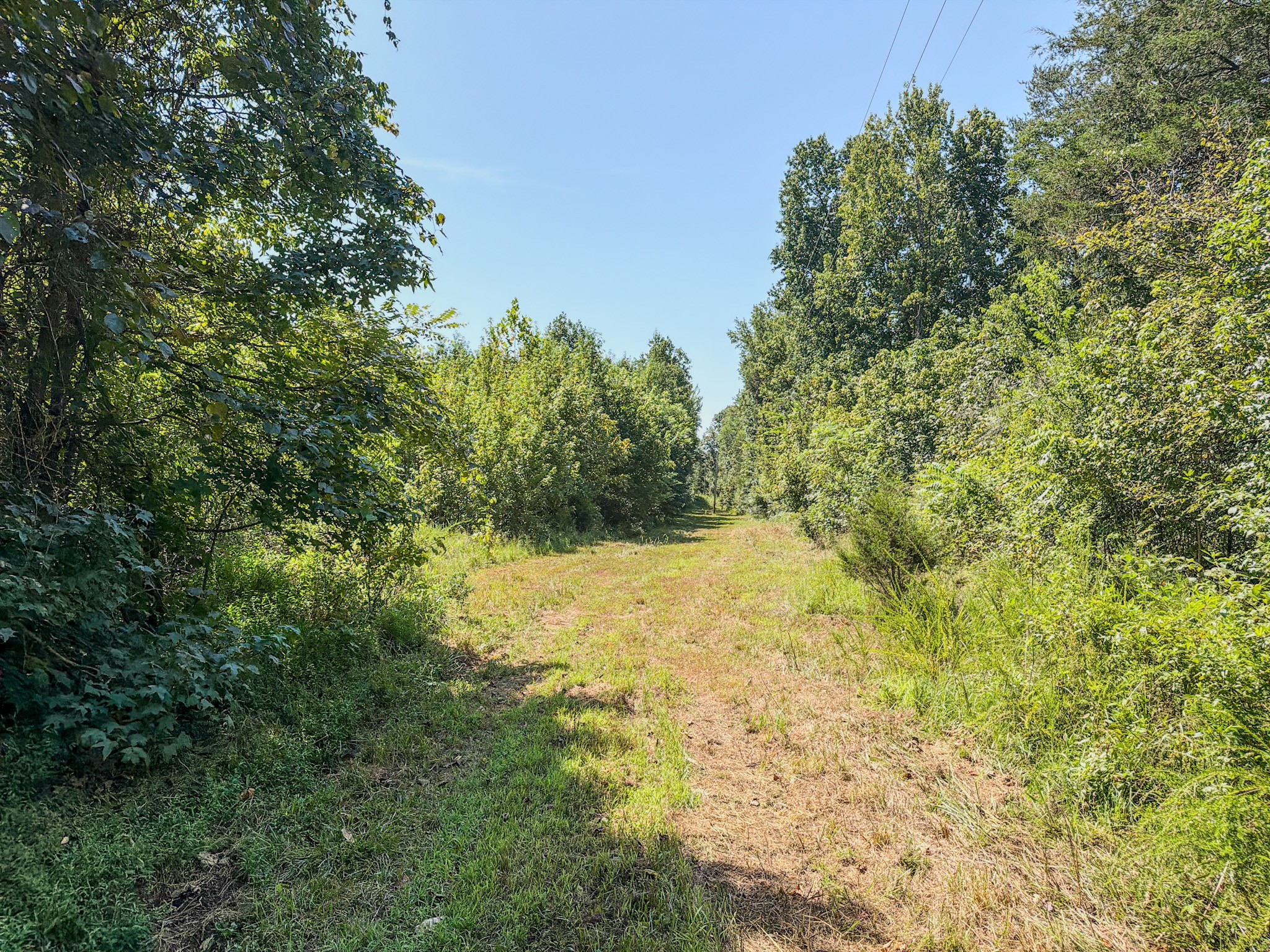 2195 Whiteoak Road East Linden, TN 37096 - Photo 31 of 56 Gallery Image 31