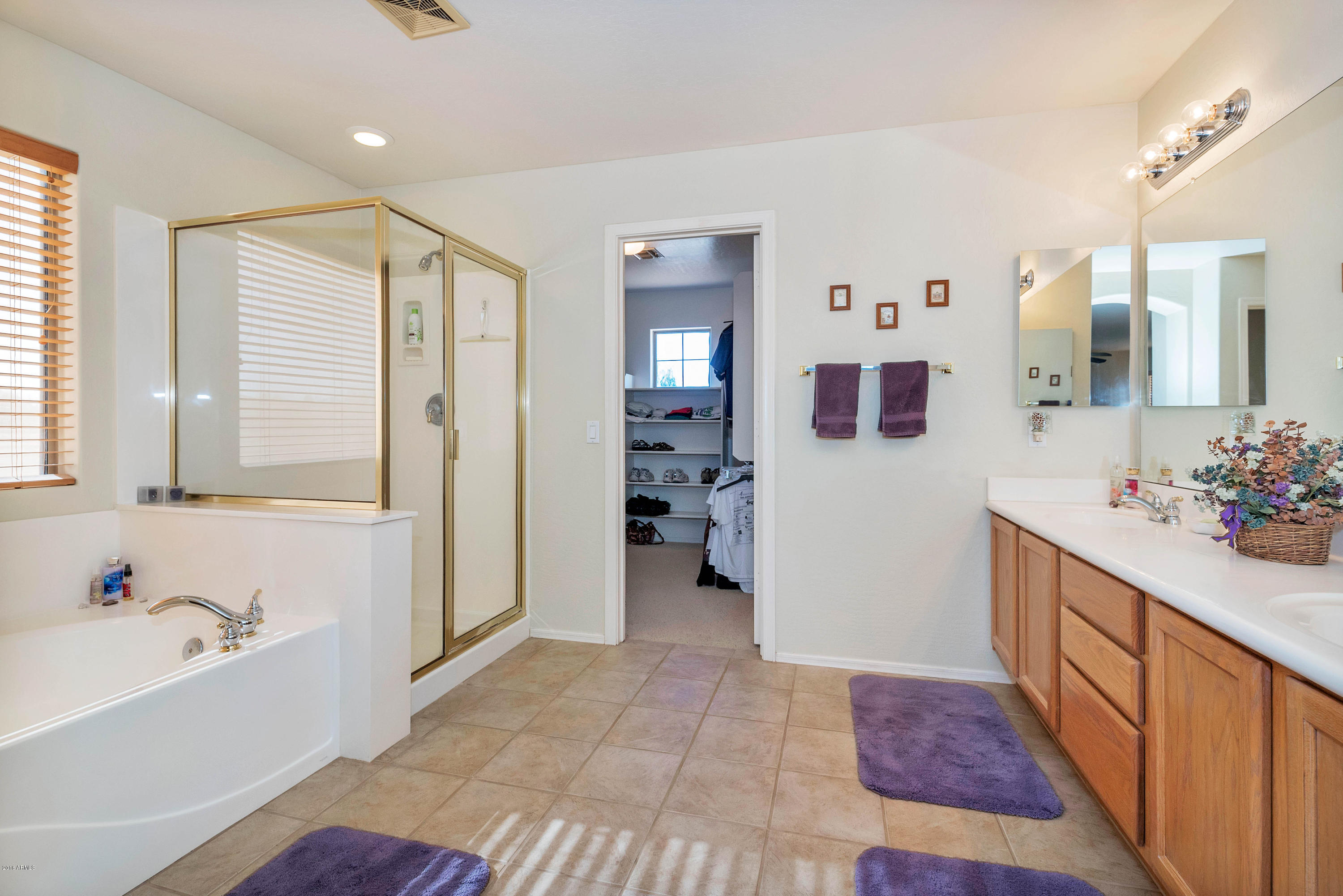 2557 South Martingale Road Gilbert, AZ 85295 - Photo 14 of 35 Master Bathroom