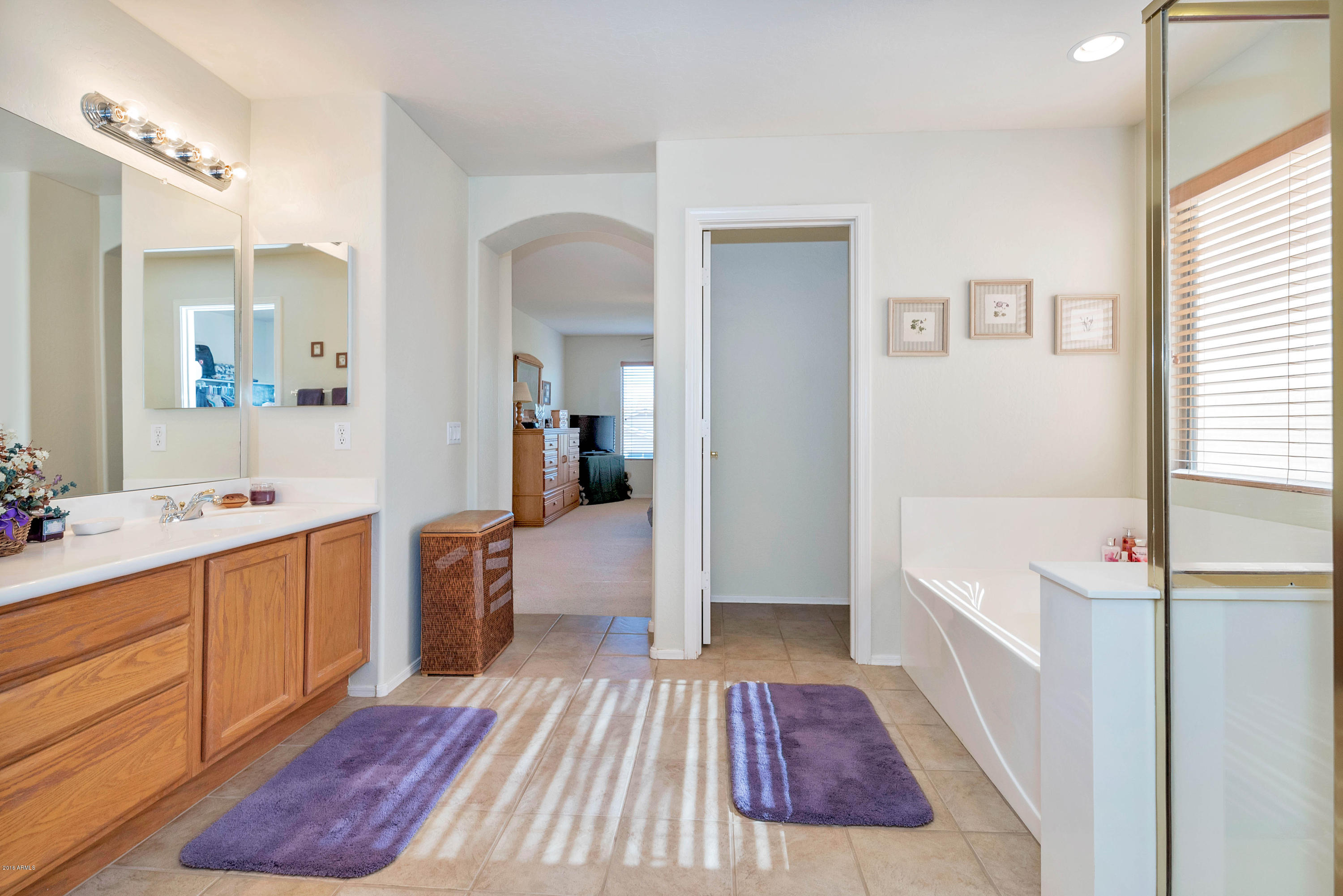 2557 South Martingale Road Gilbert, AZ 85295 - Photo 15 of 35 Master Bathroom