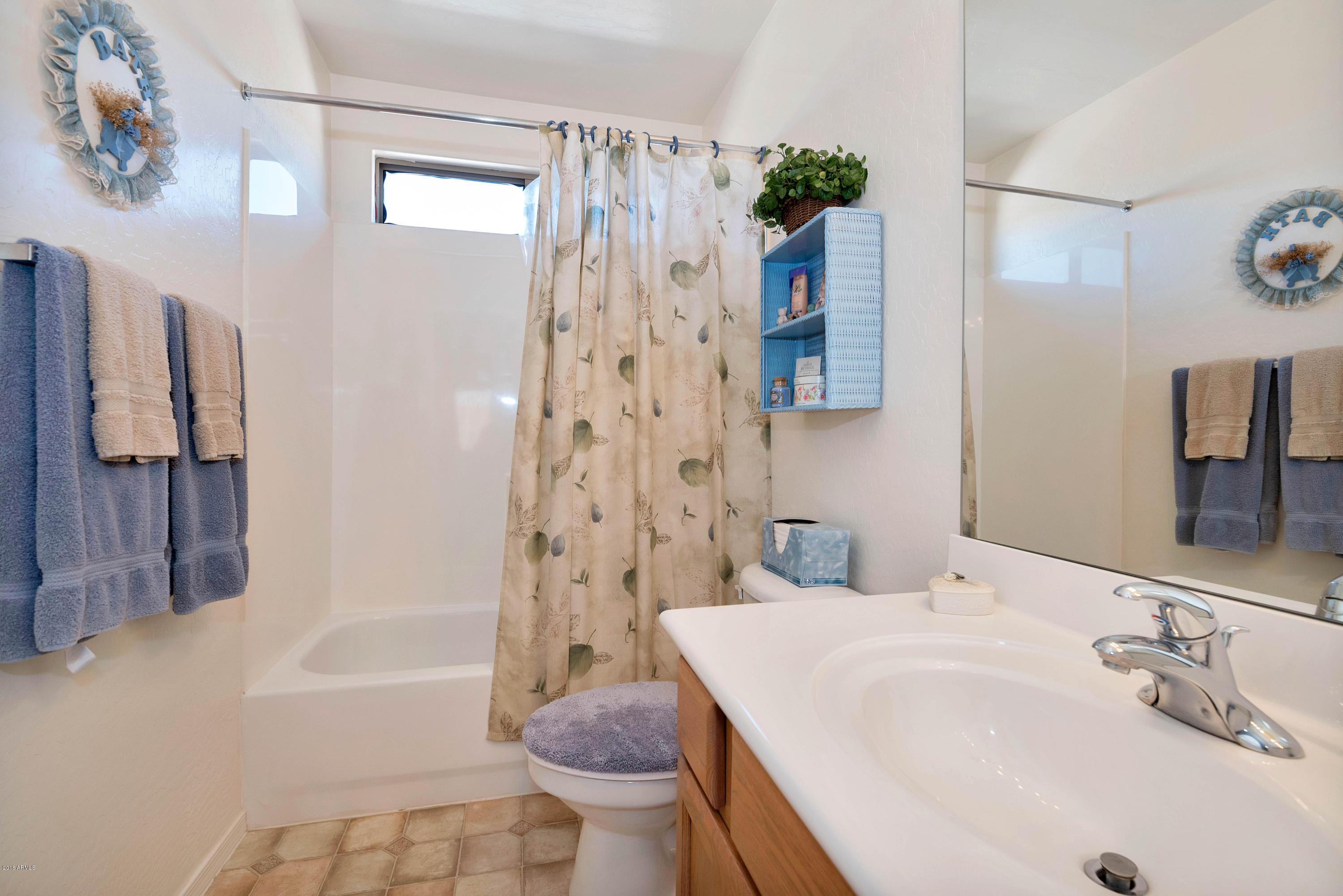 2557 South Martingale Road Gilbert, AZ 85295 - Photo 21 of 35 Guest Bathroom