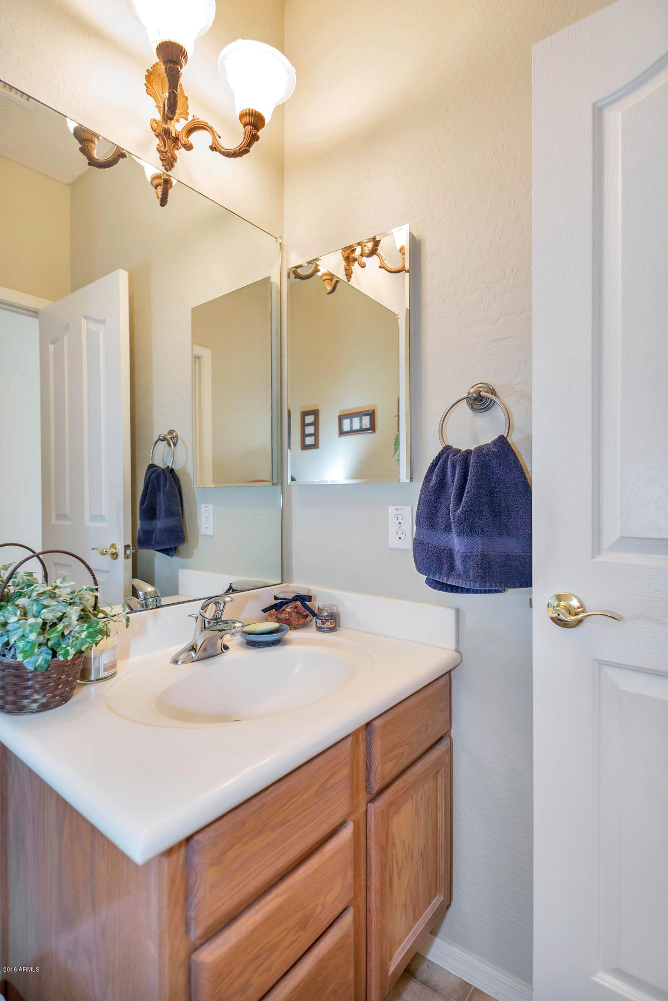 2557 South Martingale Road Gilbert, AZ 85295 - Photo 25 of 35 Powder Room