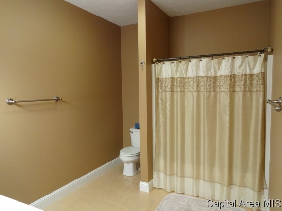 2004 Hidden Mill Drive Springfield, IL 62711 - Photo 14 of 22