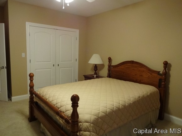 2004 Hidden Mill Drive Springfield, IL 62711 - Photo 19 of 22