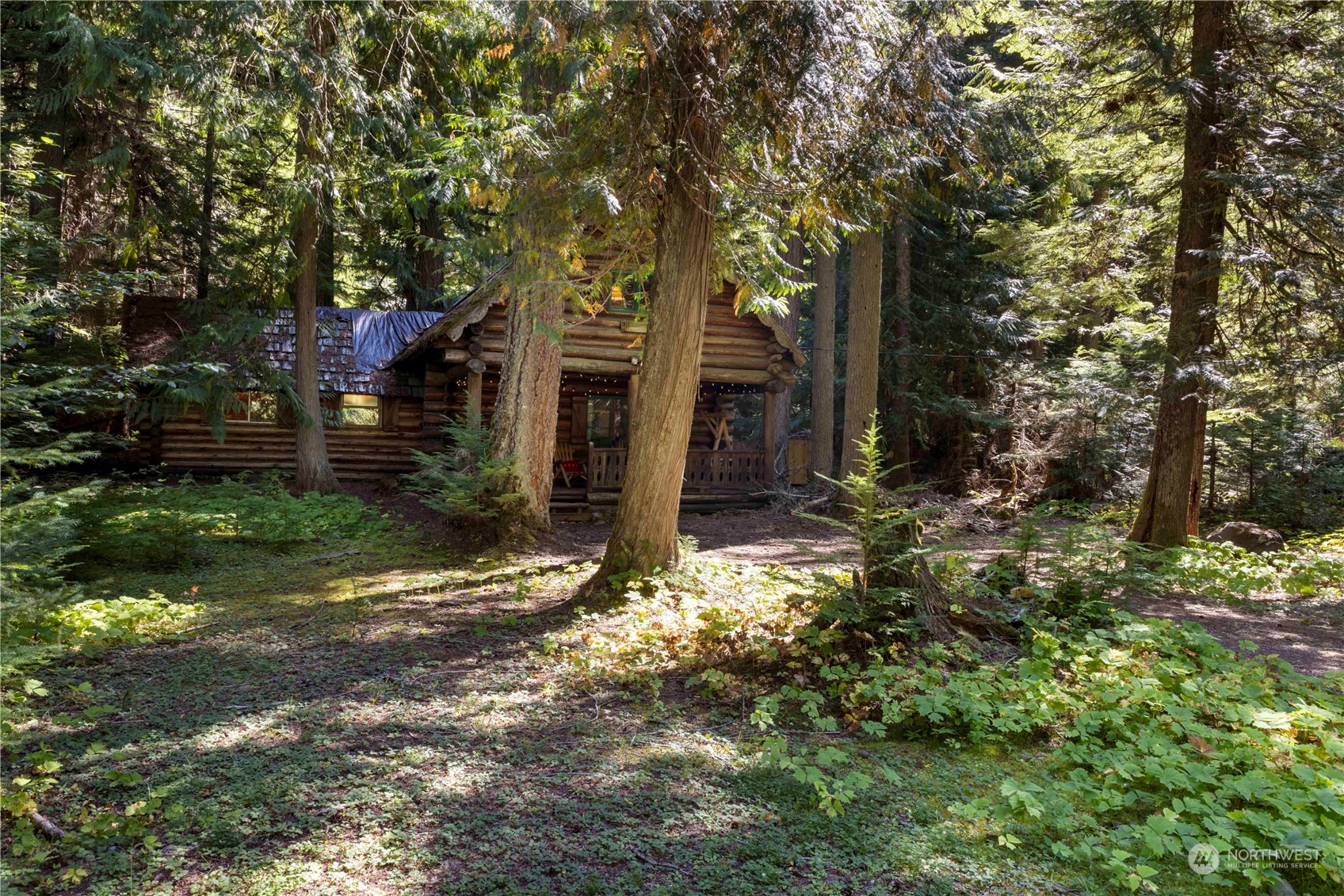158 Usfs 7175 Road Enumclaw, WA 98022 - Photo 22 of 23 a view of a yard with plants and trees