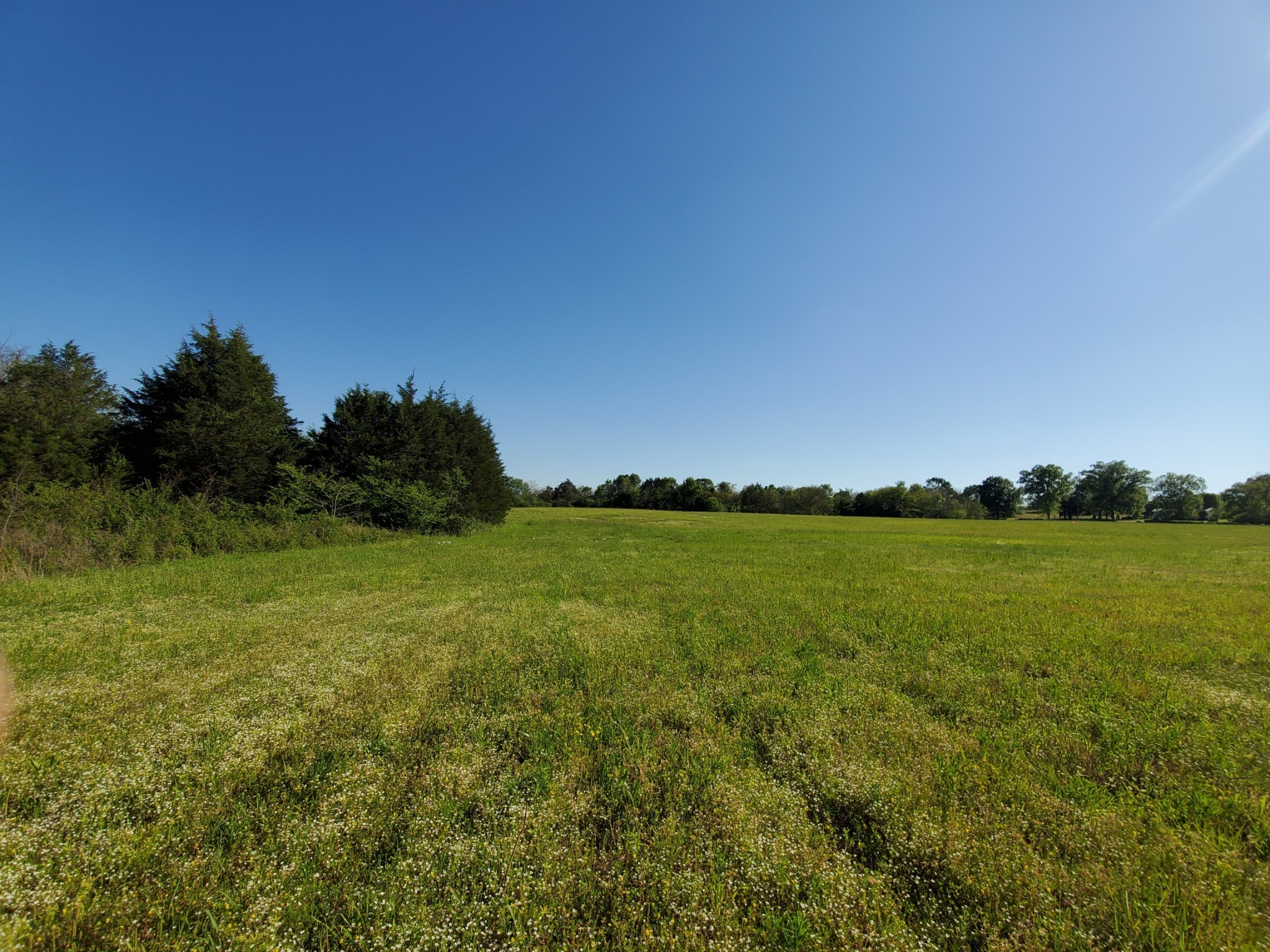 250 Temple Ford Road Shelbyville, TN 37160 - Photo 1 of 10 Gallery Image 1