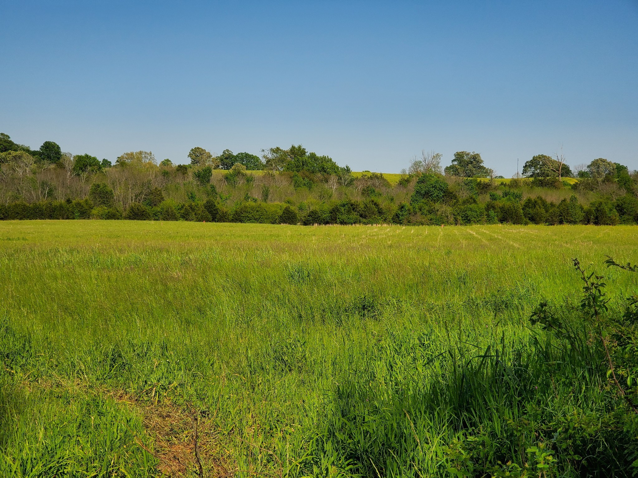 250 Temple Ford Road Shelbyville, TN 37160 - Photo 3 of 10 Gallery Image 3