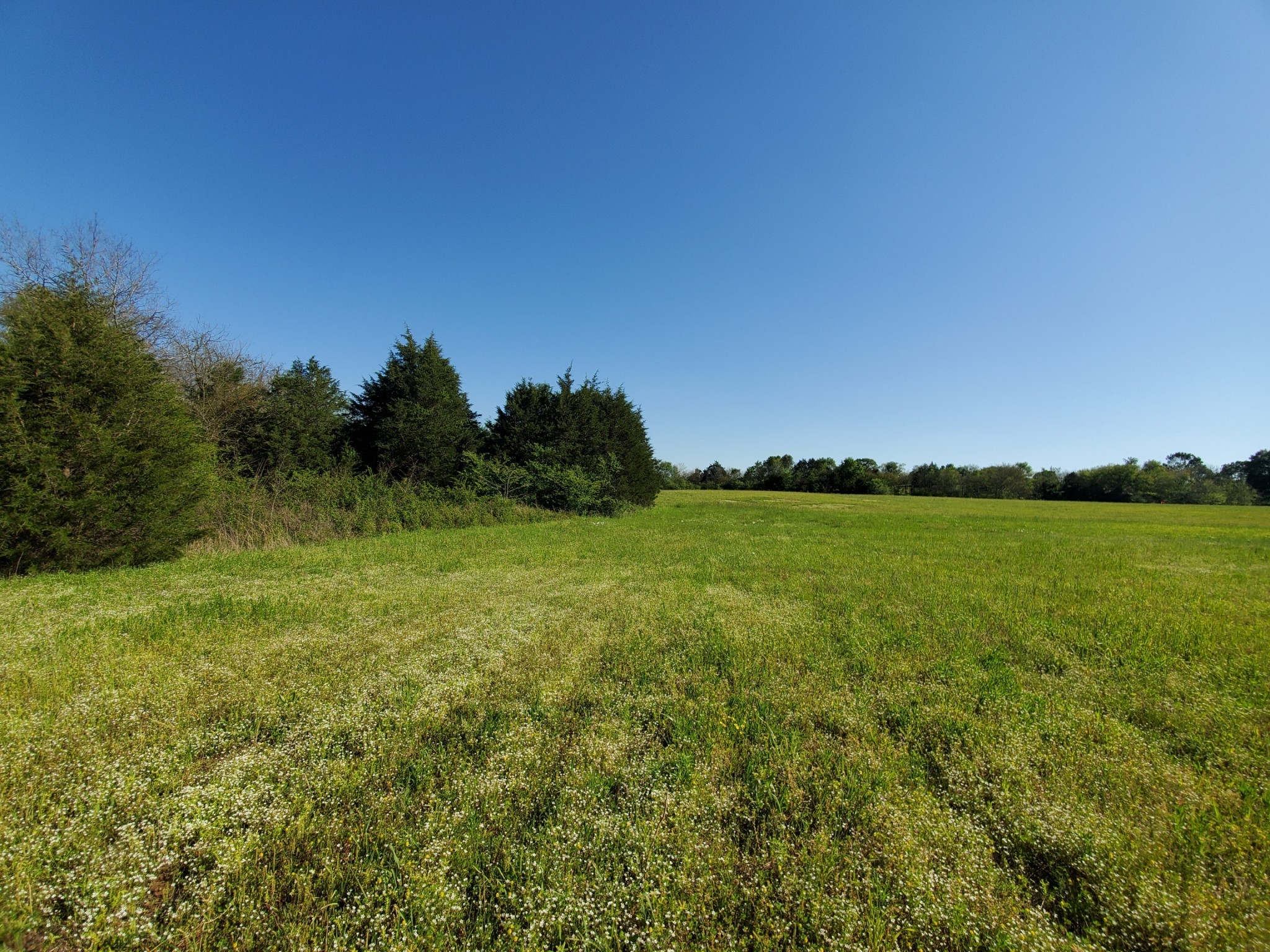 250 Temple Ford Road Shelbyville, TN 37160 - Photo 4 of 10 Gallery Image 4