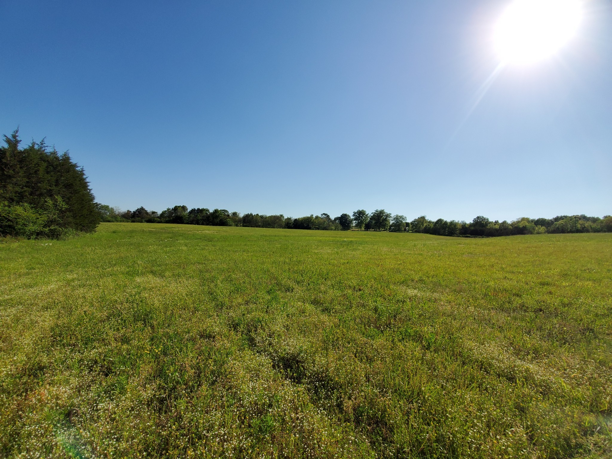 250 Temple Ford Road Shelbyville, TN 37160 - Photo 5 of 10 Gallery Image 5