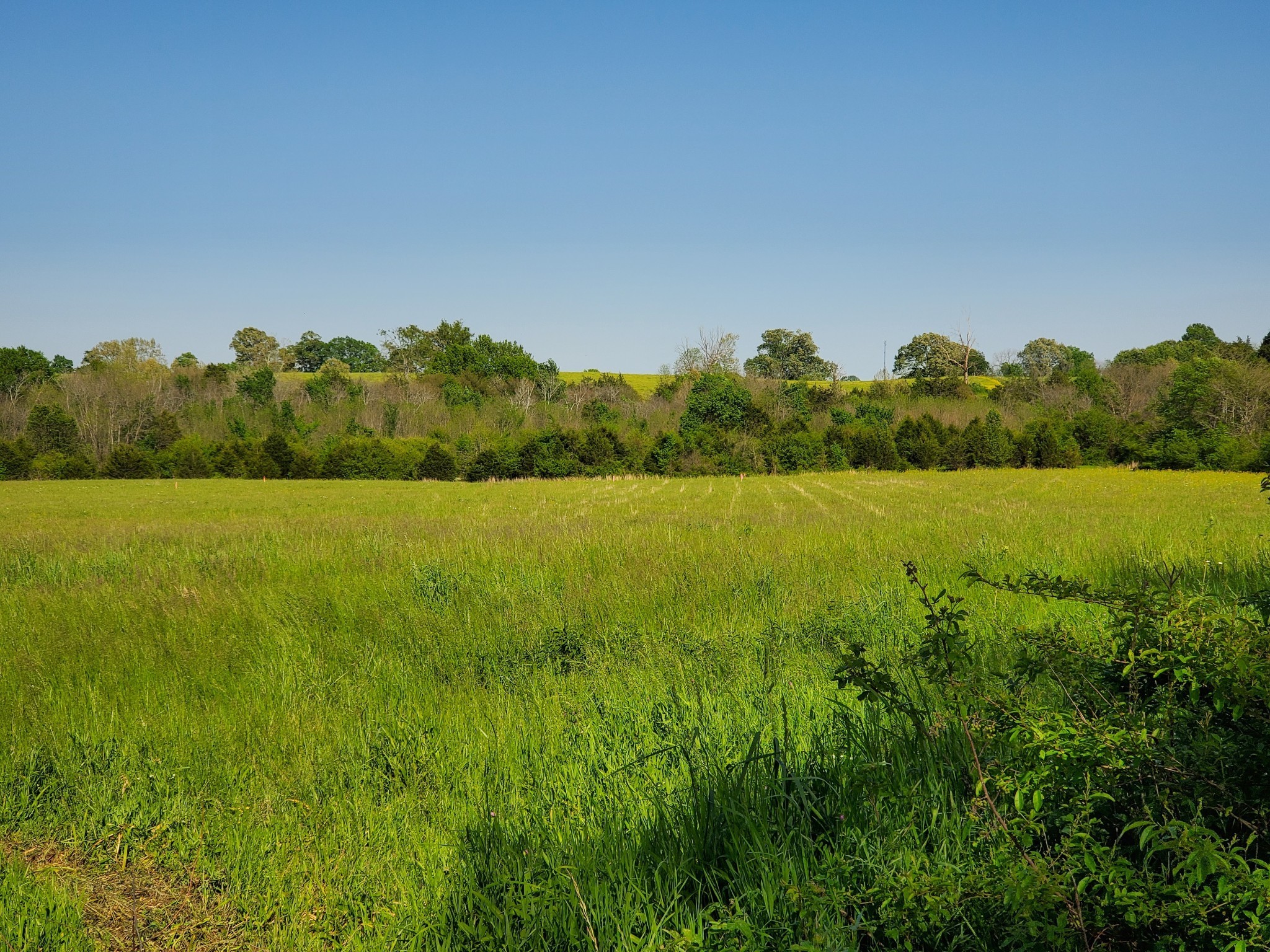 250 Temple Ford Road Shelbyville, TN 37160 - Photo 6 of 10 Gallery Image 6