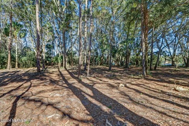 a view of backyard with green space