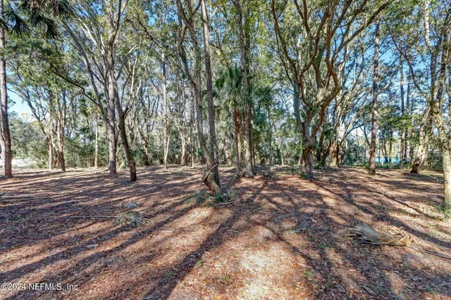 a view of outdoor space with trees