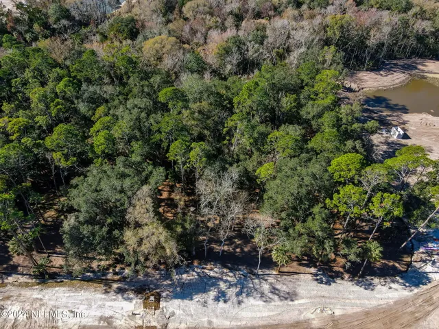 a view of a bunch of trees and bushes
