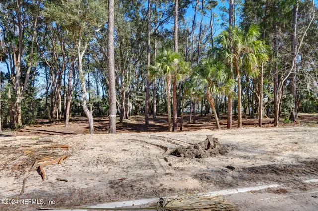 a view of dirt yard with a large tree
