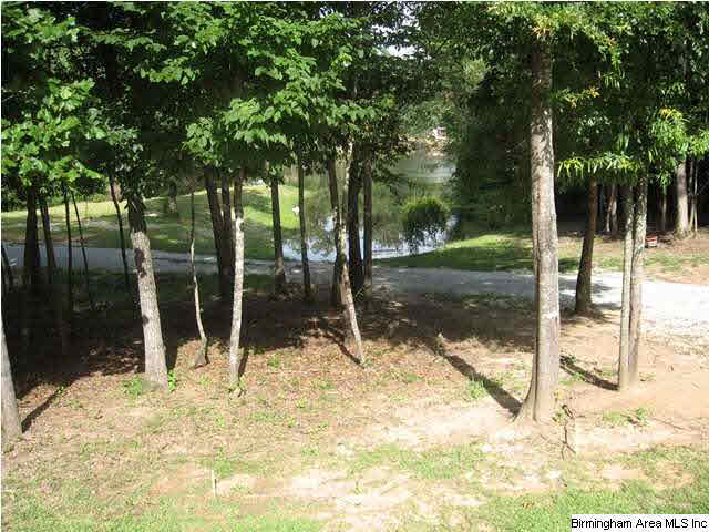 1521 Country Club Road Roanoke, AL 36274 - Photo 9 of 19
