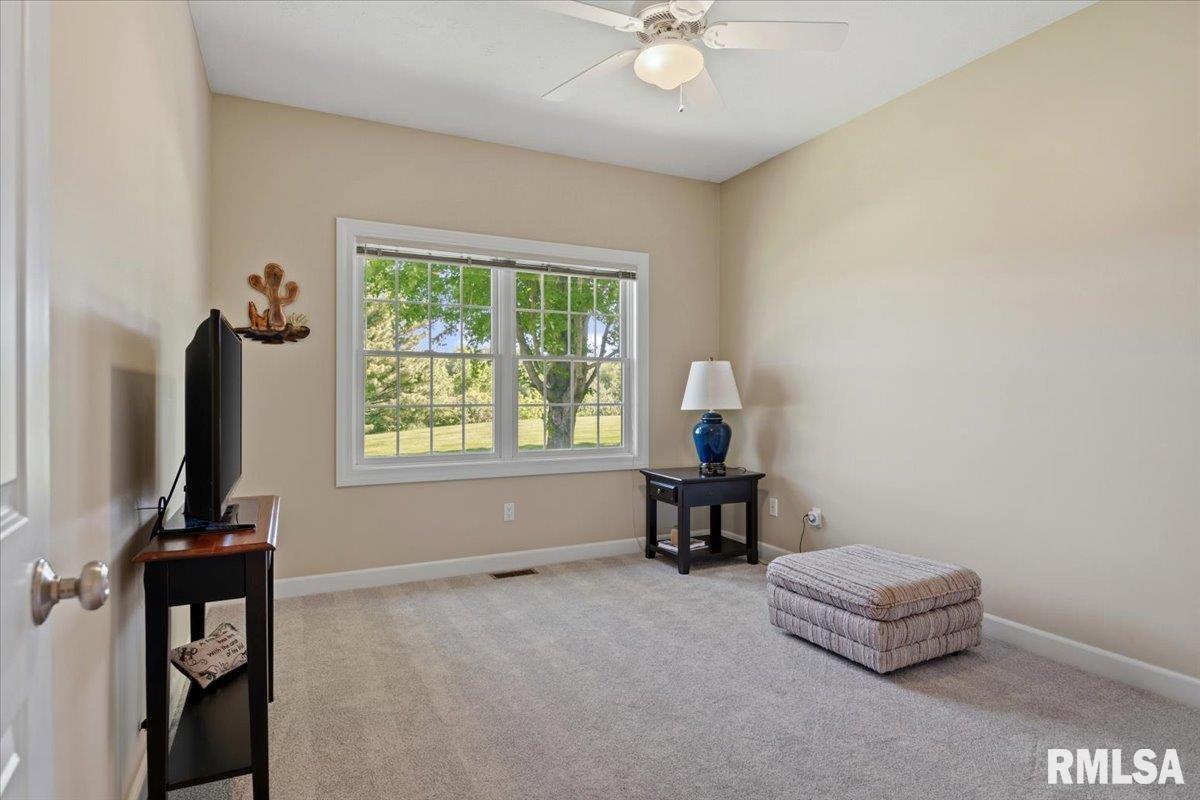5635 Wagon Ford Road Chatham, IL 62629 - Photo 36 of 65
