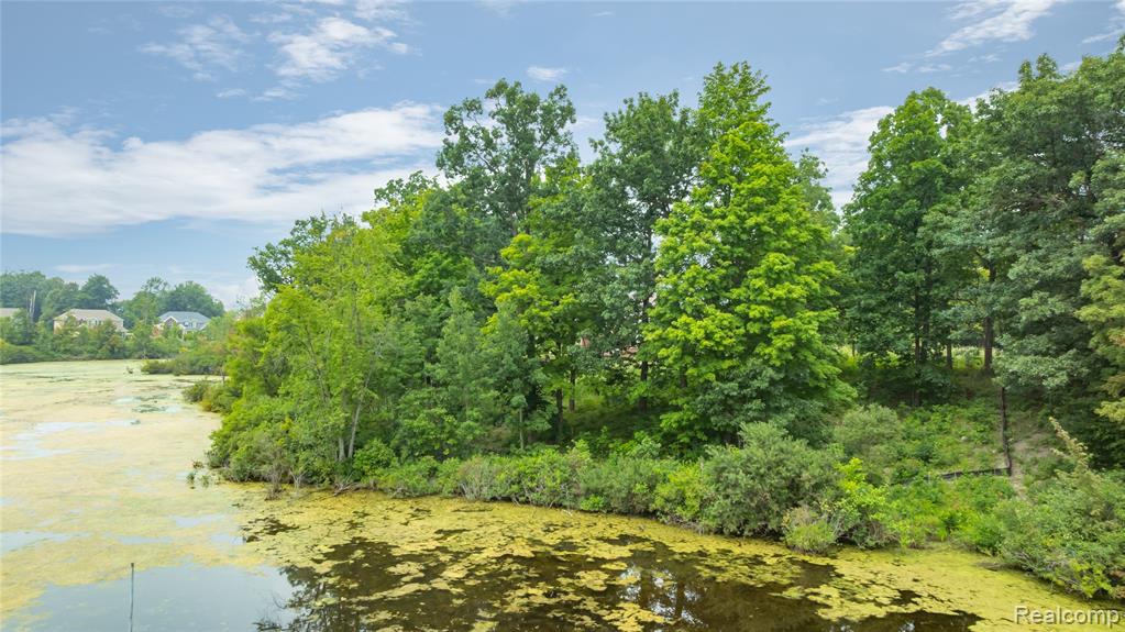 23275 Chubb Road South Lyon, MI 48178 - Photo 17 of 20 Gallery Image 17