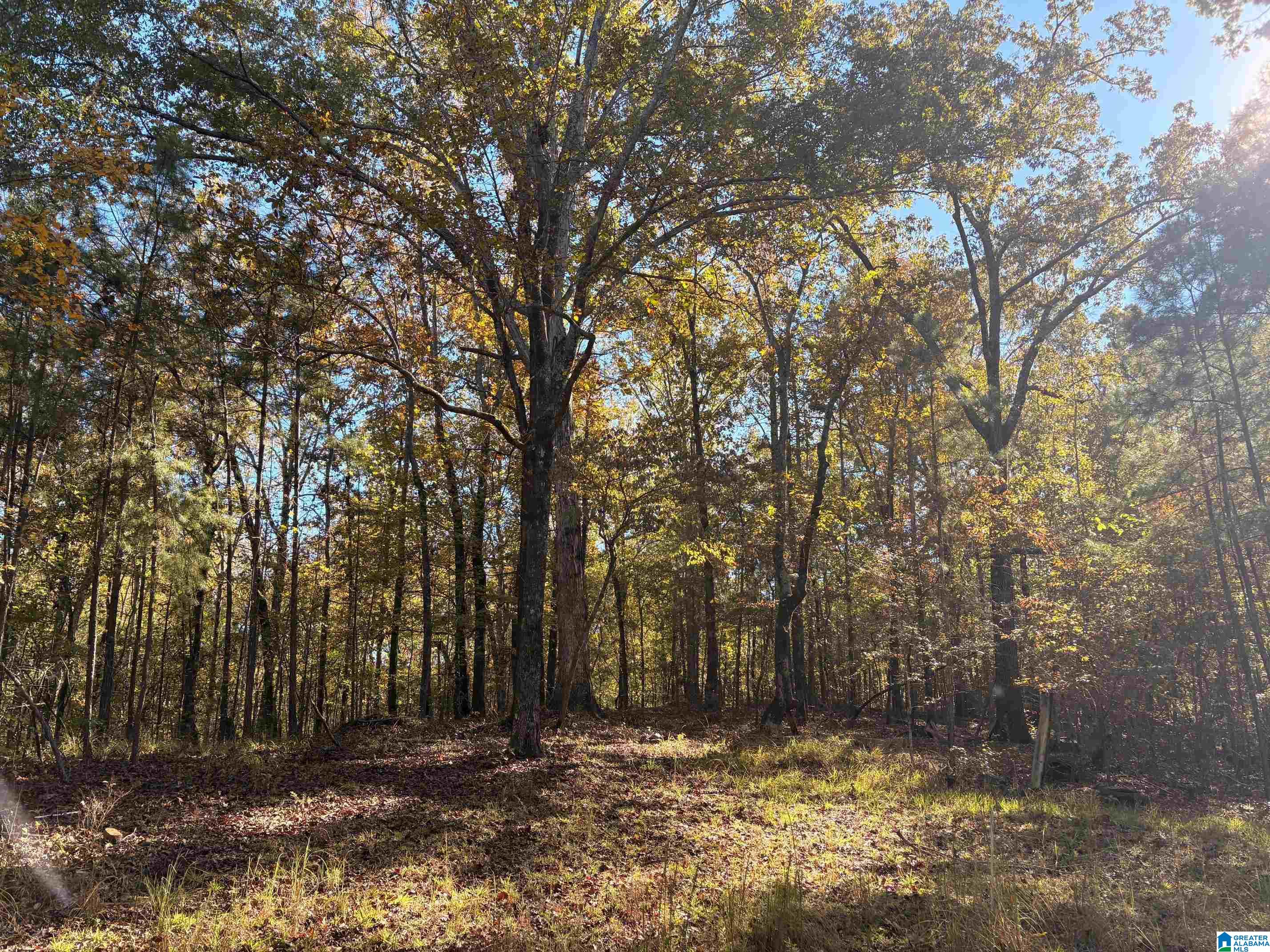 4540 Cabin Road, Unit 4 AND 6 Bessemer, AL 35022 - Photo 10 of 13